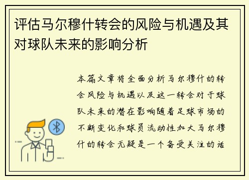 评估马尔穆什转会的风险与机遇及其对球队未来的影响分析