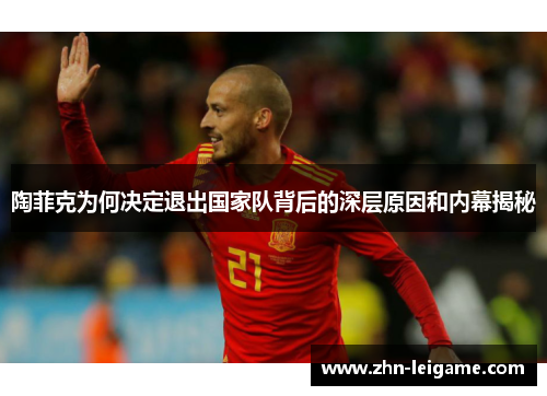 陶菲克为何决定退出国家队背后的深层原因和内幕揭秘