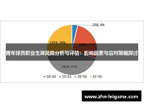 青年球员职业生涯风险分析与评估：影响因素与应对策略探讨